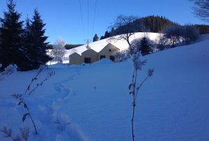 Sonniger Wintertag mit Blick auf das Ferienhaus