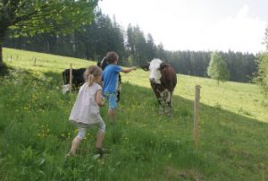 Kinder beobachten Kühe am früheren Seilerhansenhof