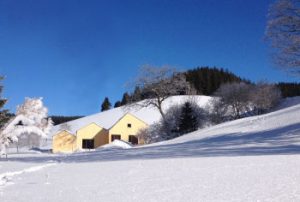 Blick auf den winterlichen Seilerhansenhof