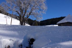 Blick auf den Bach und die Kapelle im Winter