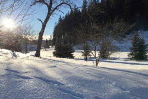 Schnee Februar Winter Garten Seilerhansenhof