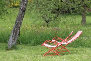 Ferienhaus am früheren Seilerhansenhof, Garten, Schwarzwald, Furtwangen, Urlaubsarchitektur, wilde Wiese