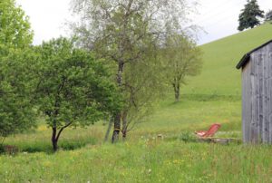 Ferienhaus am früheren Seilerhansenhof, Garten, Schwarzwald, Furtwangen, Urlaubsarchitektur, wilde Wiese