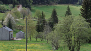 Seilerhansenhof, Urlaubsarchitektur, Ferienhaus, Schwarzwald, Furtwangen, Vorderschützenbach