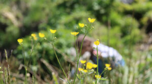 Seilerhansenhof, Frühling am Bach