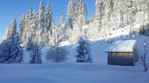 Wintergarten des Ferienhauses am früheren Seilerhansenhof in Furtwangen in Schwarzwald