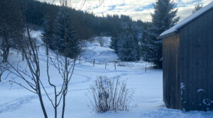 Ferienhaus am früheren Seilerhansenhof im Schwarzwald, Blick auf den winterlichen Garten