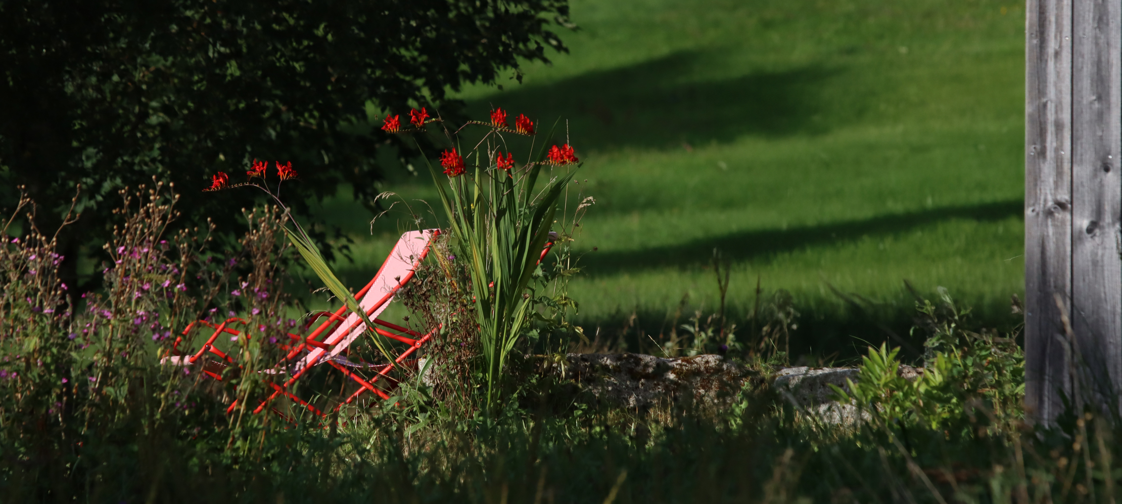Schafe beim Seilerhansen Hof