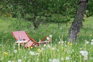 Rote Liegestuhl im Garten, Seilerhansenhof