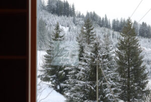winterlicher Ausblick vom Schlafzimmer, Seilerhansenhof